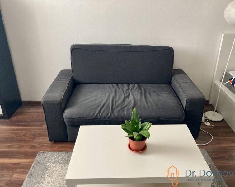 NA PRENÁJOM ÚTULNÝ 1-IZBOVÝ BYT, ČIASTOČNÁ REK., KAROLA ADLERA, BA - Pohovka v 1-izbovom byte, konferenčný stolík s rastlinou, podlaha s dreveným dekorom.