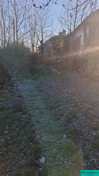 Priestranný pozemok so starším domom – Suchá nad Parnou - Príjazdová cesta k chate v Suchej nad Parnou obklopená stromami a kríkmi.