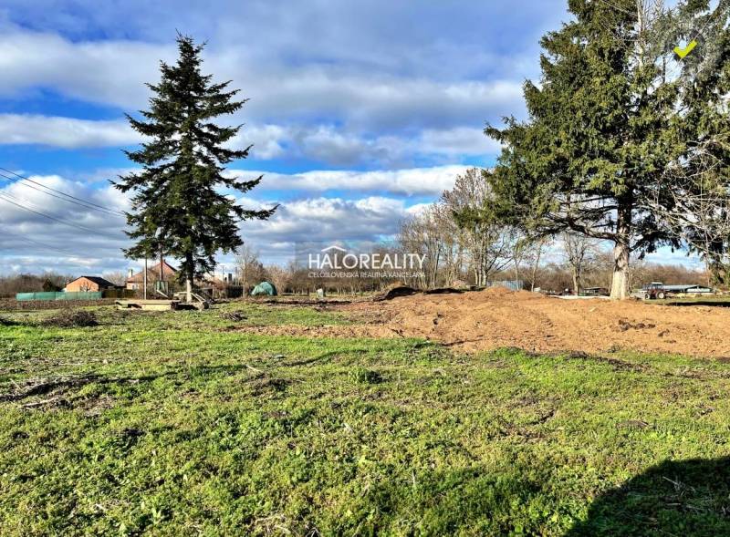 Predaj, pozemok pre rodinný dom   2184 m2 Ondrejovce... - Zeleň a stromy na pozemkoch - bývanie v Ondrejovciach pod modrou oblohou.