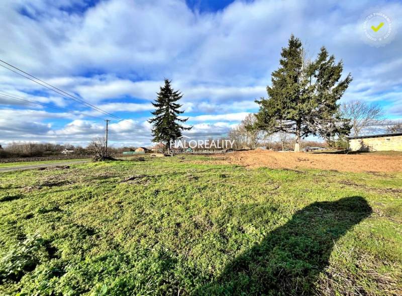 Predaj, pozemok pre rodinný dom   2184 m2 Ondrejovce... - Trávnatý pozemok s ihličnatými stromami v Ondrejovciach, ideálny pre bývanie.