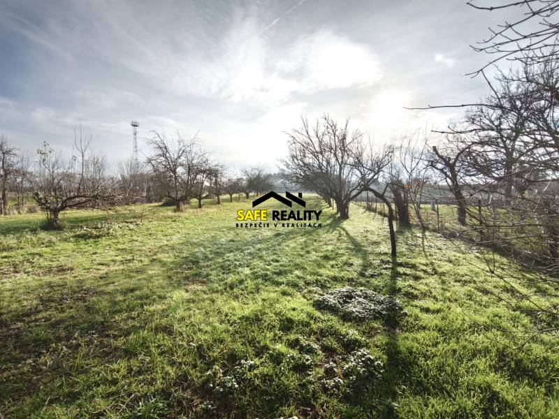 Rodinný dom - Lúčnica nad Žitavou  - Záhrada pri rodinnom dome v Lúčnici nad Žitavou so stromami a trávnatým porastom.