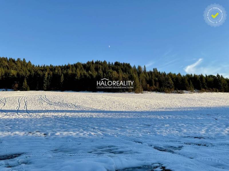 Predaj, pozemok   10200 m2 Dolná Lehota - EXKLUZÍVNE... - Zasnežené pozemky na bývanie v Dolnej Lehote obklopené lesom a modrou oblohou.