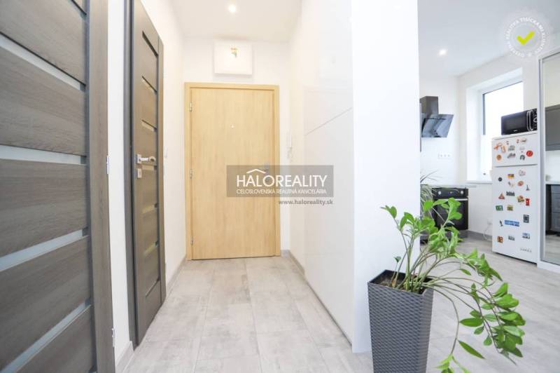 Prenájom, dvojizbový byt Považská Bystrica, Lánska -... - Chodba v 2-izbovom byte s dlažbou, drevenými dverami a rastlinou v kvetináči.