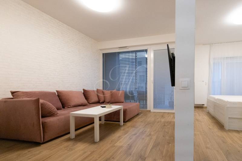 Zariadený 2i byt s lodžiou v rezidencii Pri Mýte - 2-izbový byt s podlahou s dreveným dekorom, pohovkou a televízorom na stene.