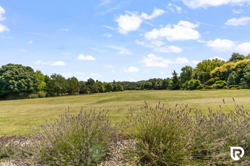 Exkluzívna honosná kúria | 3 ha pozemok | Dunakiliti - HU - Rozľahlá zelená lúka obklopená stromami v Dunakiliti vhodná pre Zvláštne nehnuteľnosti.