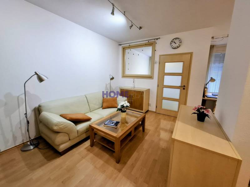 SLNEČNÝ KOMPLETNE ZARIADENÝ 2 IZB. BYT PRI ŠTRKOVECKOM JAZERE.  - Obývacia izba v 2-izbovom byte s pohovkou, lampou a podlahou s dreveným dekorom.