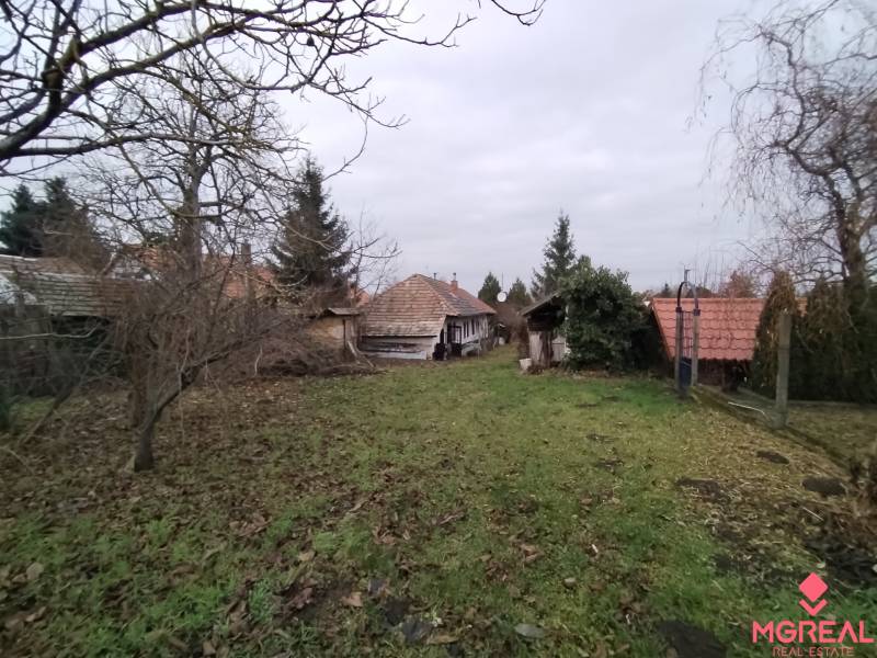 Na predaj vidiecky rodinný dom v obci Dolný Pial - Záhrada pri rodinnom dome v Dolnom Piali s trávnikom a ovocnými stromami.