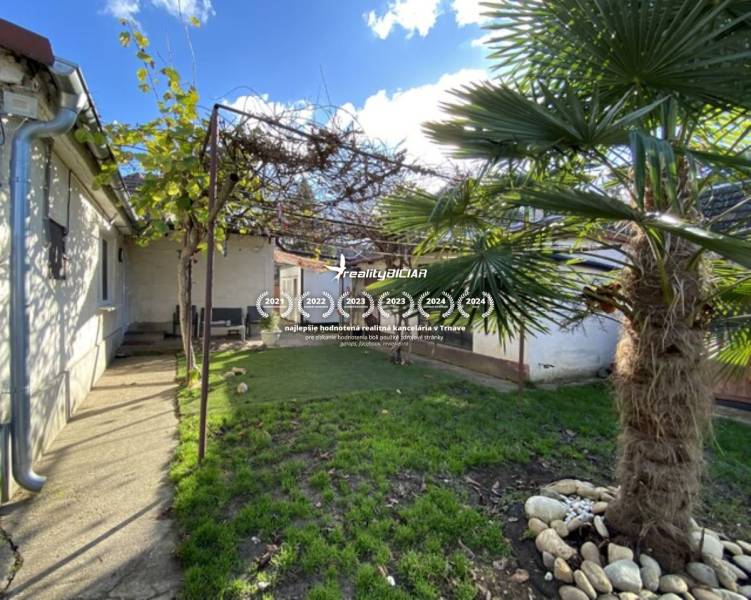 V exkluzívnom zastúpení majiteľa ponúkame na predaj rodinný dom - Záhrada rodinného domu na Hlavnej ulici v Zavare s palmou a viničom.