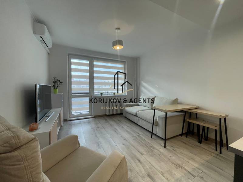 PRENÁJOM, garsónka na Jegorovovom námestí, Košice-Dargovských hrdinov - Obývacia časť garsónky s pohodlnou pohovkou a podlahou s dreveným dekorom.