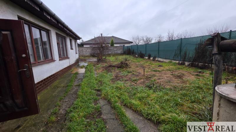 Na predaj 5 izbový rodinný dom Vinohrady nad Váhom - Dvor rodinného domu vo Vinohradoch nad Váhom so zeleným trávnikom a jednoduchým oplotením.