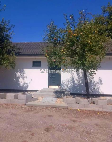 Novostavba- 3i dom s dvorom s nízkou údržbou - Rodinný dom v Kaplnej s jablkami na strome a čistou oblohou.