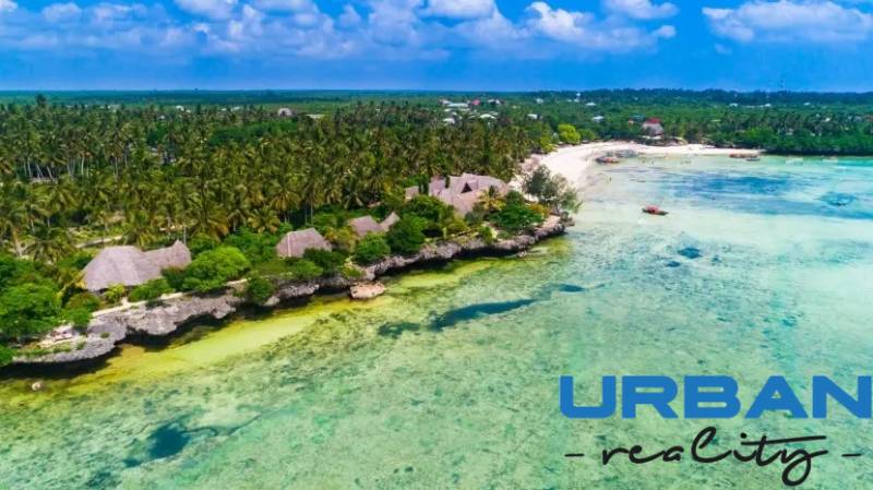 Pozemok 9000 m2 len 100 m od pláže v Kizimkazi - Pobrežná scenéria s palmami a bungalovmi v Kizimkazi, pozemky - komerčné.