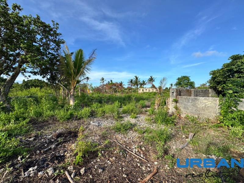 Pozemok 9000 m2 len 100 m od pláže v Kizimkazi - Pozemky - komerčné v Kizimkazi s bujnou zeleňou a palmami.