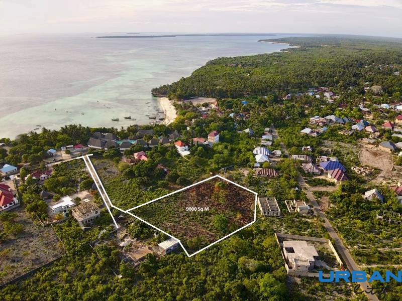 Pozemok 9000 m2 len 100 m od pláže v Kizimkazi - Letecký pohľad na Pozemky - komerčné v Kizimkazi, so zelenými oblasťami a pobrežím.