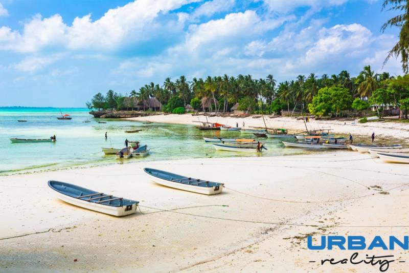 Pozemok 9000 m2 len 100 m od pláže v Kizimkazi - Pláž s loďami a palmami v Kizimkazi, ideálne pre komerčné pozemky.