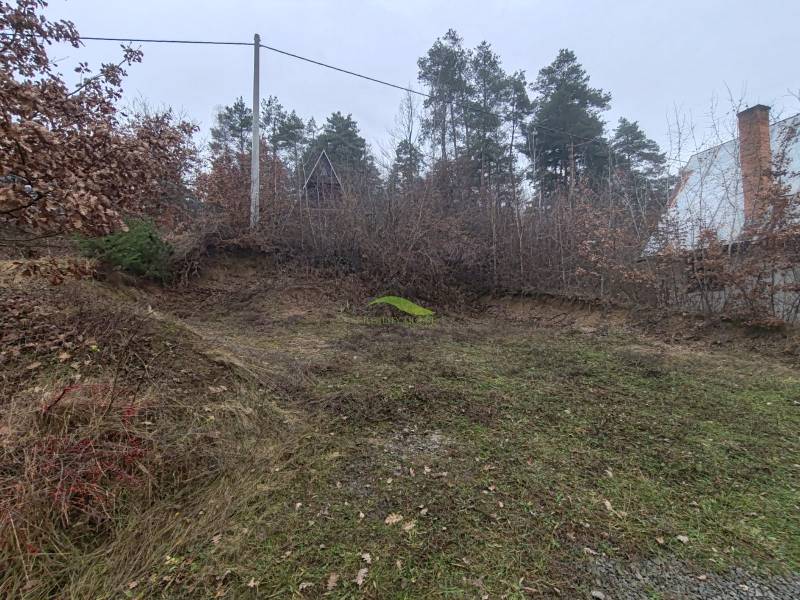 Pohoda pri vode, chata s výhľadom na Domašu - Trávnatý svah pri Chate na Hlavnej ulici v obci Nová Kelča, obklopený stromami.