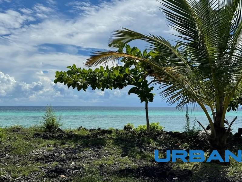 3,2-hektárový pozemok na útese, Kizimkazi, Zanzibar - Pobrežie v Kizimkazi vhodné pre pozemky - komerčné s výhľadom na oceán a palmami.