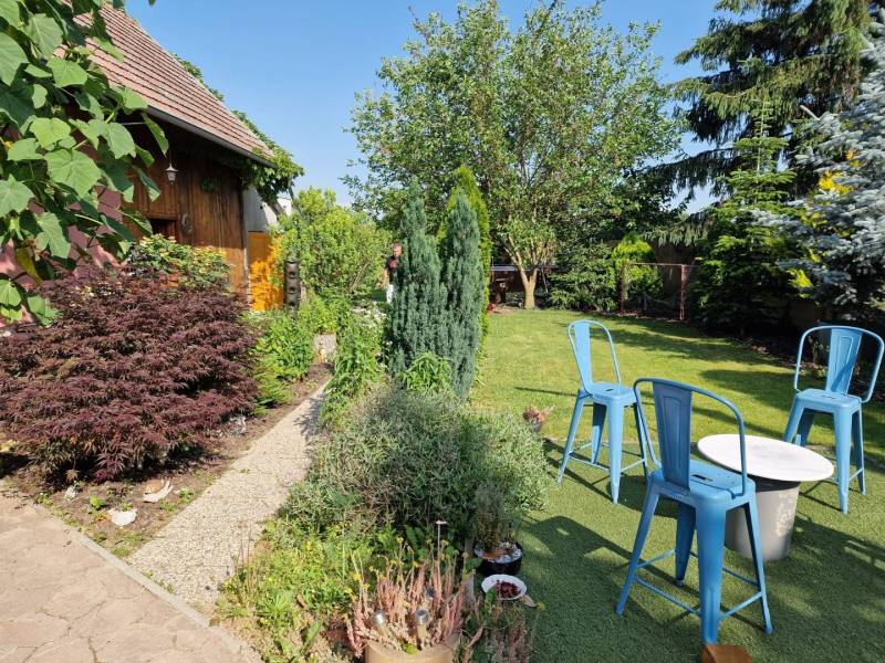 Krásny rodinný dom s rozľahlým pozemkom - Záhrada rodinného domu v Dlhej nad Váhom s drevenou chatou a modrými stoličkami.