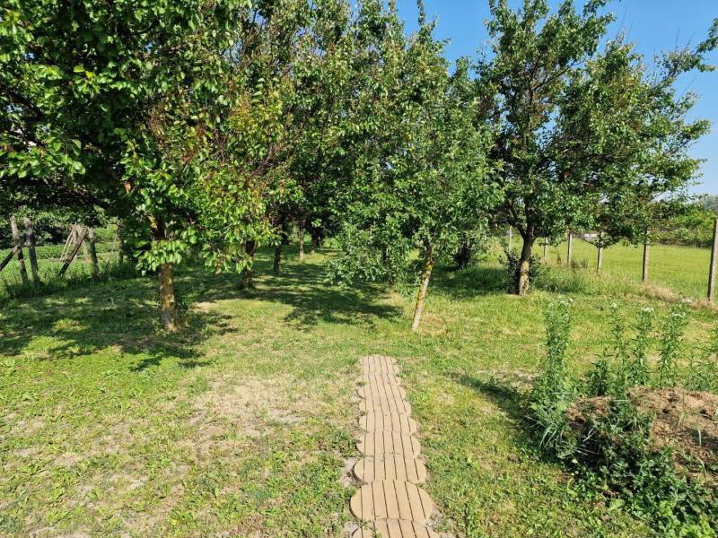 Krásny rodinný dom s rozľahlým pozemkom - Záhrada v rodinnom dome v Dlhej nad Váhom s ovocnými stromami a trávnikom.