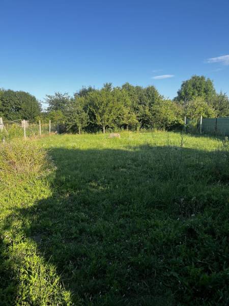 Znížená cena  4-izbový rodinný dom s veľkým pozemkom len 5min od Šale - Záhrada pri rodinnom dome v Diakovciach s bujnou trávou a zelenými kríkmi.