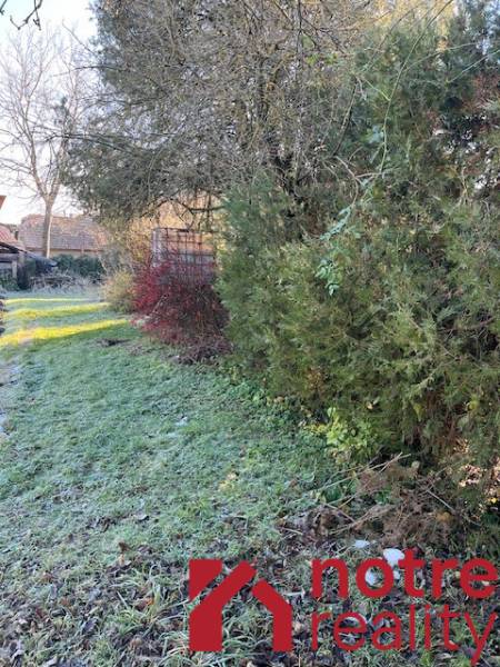 Prízemný rodinný dom v Tomášovciach  - Záhrada rodinného domu v Tomášovciach s hustou vegetáciou a trávnatou plochou.