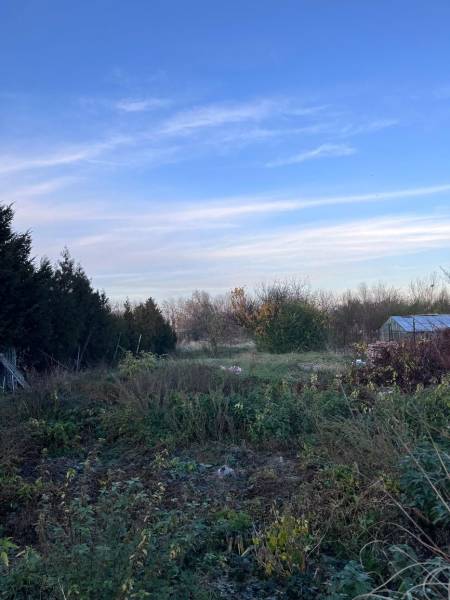  Rodinný dom na predaj  – Kajal (okres Galanta) - Záhrada pri rodinnom dome v Kajali so zeleňou a modrou oblohou.