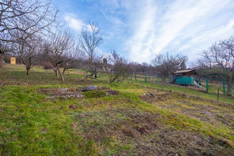 CHATKA SO ZÁHRADOU, PREŠOV – ŠIDLOVEC - Záhrada s ovocnými stromami pri chate v blízkosti Prešova, obklopená prírodou.