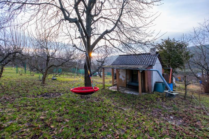 CHATKA SO ZÁHRADOU, PREŠOV – ŠIDLOVEC - Záhrada s malou chatou v Prešove a visiacou hojdačkou na strome.