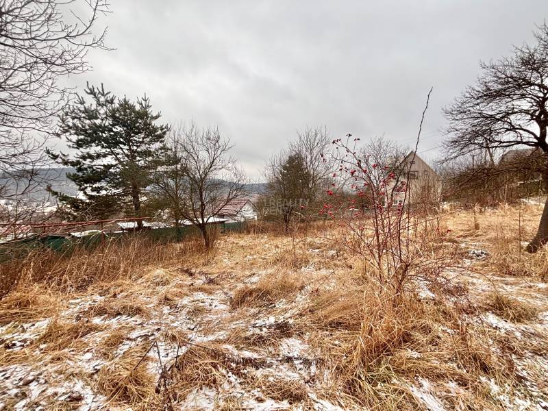 Predaj rodinného domu v Skalitom  - Zasnežené pole a stromy pri rodinnom dome na Poľane v Skalitom.