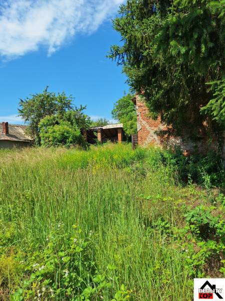 Pozemok vhodný na výstavbu - 23 árov - 10,52/m2 - Zarastený pozemok na bývanie v Radzovciach s viditeľnými stromami a starou stavbou.