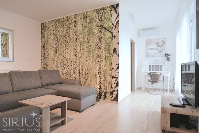 ANTOLSKÁ, 2-i byt, 54 m2 – novostavba REZIDENCIA DRAŽDIAK, zariadený - Obývačka v 2-izbovom byte s pohovkou, tapetou lesa a dreveným dekorom.