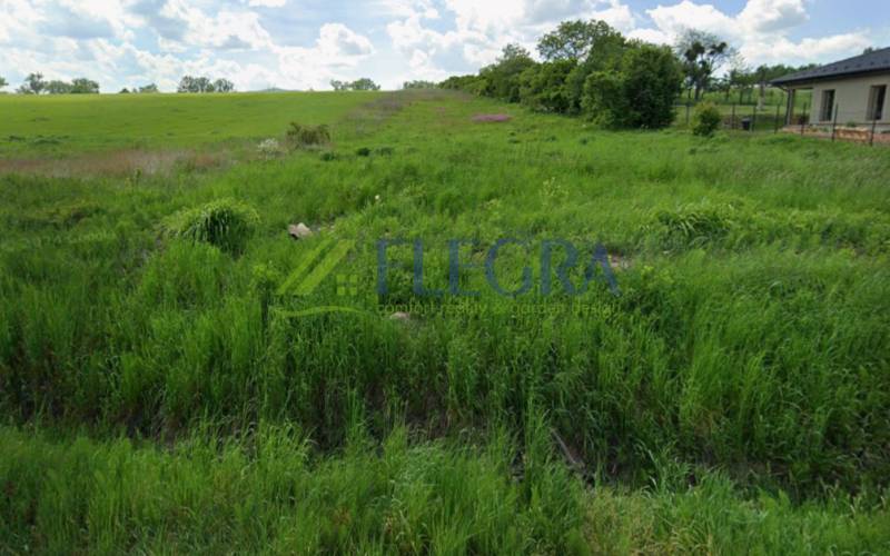 Na predaj : stavebný pozemok  Vranov nad Topľou - Pozemky - bývanie na Lomnickej ulici vo Vranove nad Topľou, zelená tráva a otvorený priestor.