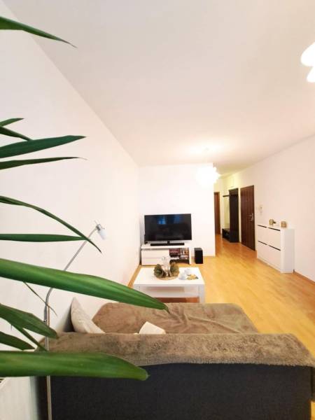 Miesto, kde sa budete cítiť doma–2-izbový byt na sídlisku West-Galana - Obývacia izba v 2-izbovom byte s podlahou s dreveným dekorom, TV a pohodlným gaučom.