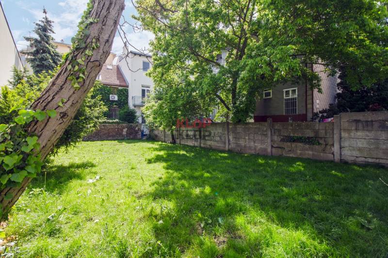 Kúpte si veľký PODKROVNÝ 4i BYT so ZÁHRADOU a PIVNICOU v Starom meste - Záhrada s trávnikom a stromami pri dome na Ľadovej ulici v Bratislave - Staré Mesto.