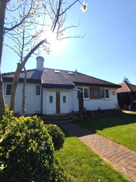 Predaj RD v Šali s bazénom - Rodinný dom v Šali so záhradou, tehlová cesta, strom a kríky pred vstupom.