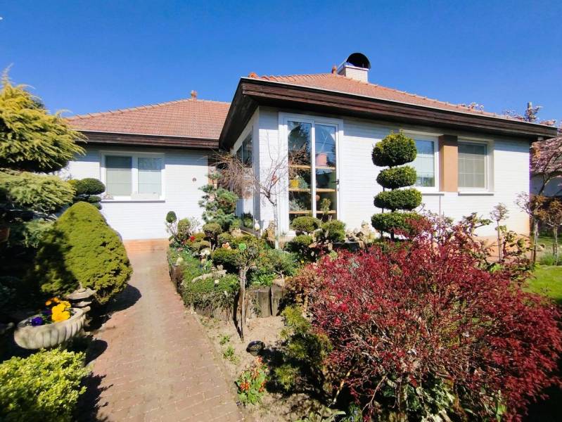 Predaj RD v Šali s bazénom - Rodinný dom v Šali s upravenou záhradou, cestičkou a zeleňou pod modrou oblohou.