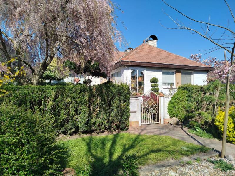 Predaj RD v Šali s bazénom - Rodinný dom v Šali s upravenou záhradou, kvitnúcimi stromami a živým plotom.