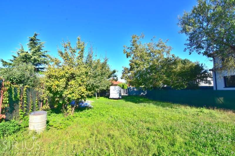 IVANKA PRI DUNAJI, stavebný pozemok 447 m2 s vydaným SP, pôvodná časť - Zeleň a stromy na pozemku v Ivanke pri Dunaji na bývanie.