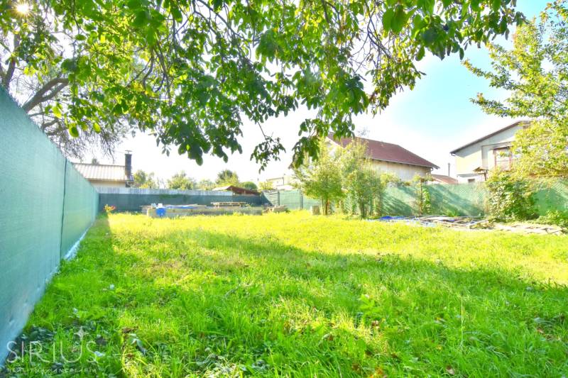 IVANKA PRI DUNAJI, stavebný pozemok 447 m2 s vydaným SP, pôvodná časť - Zelený pozemok na bývanie v Ivanke pri Dunaji s trávnikom a niekoľkými stromami.