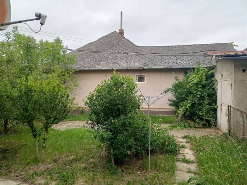 Predám Rodinný dom v Strekove - Záhrada rodinného domu v Strekove s vysadenými kríkmi a satelitnou anténou.