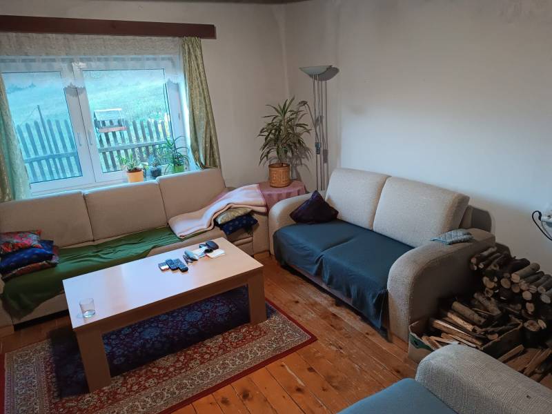 Samota Nová Baňa – Štále s hospodárskymi stavbami  - Obývacia izba rodinného domu s pohovkami, stolíkom, drevom, kobercom a rastlinami.