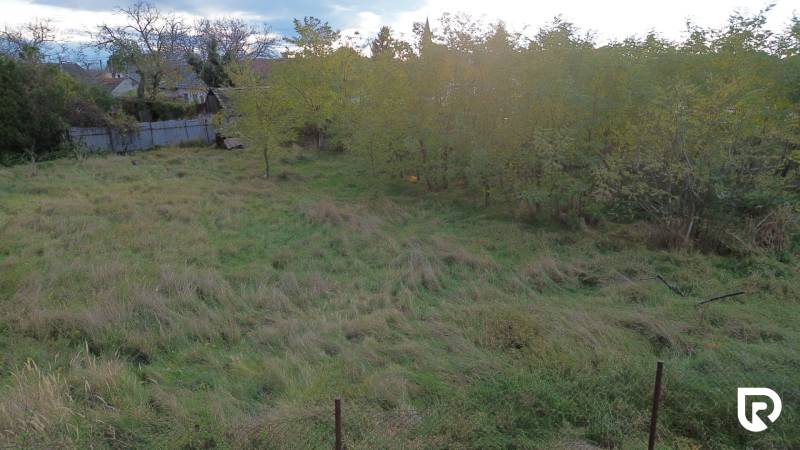 Stavebný pozemok 882 m² | Gajary - Zeleň a stromy v Gajaroch na pozemkoch vhodných na bývanie.