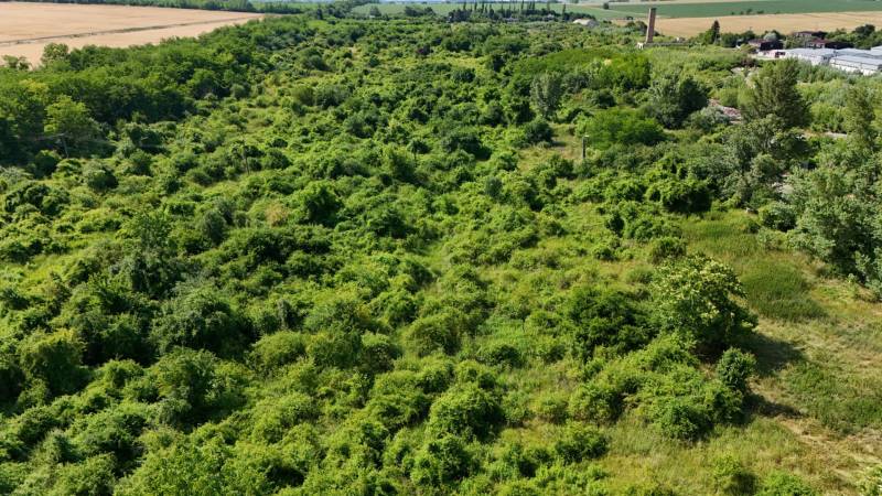 PREDAJ - Pozemok s výmerou do 196.000 m2 - 10 km Nitra, 20 km Šurany - Zeleň pokrýva rozľahlé Pozemky - komerčné v Ivanke pri Nitre, obklopené poľami a stromami.