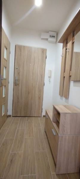 1-izbový byt na prenájom pri stanici – zariadený, po rekonštrukcii - Vstupná chodba v 1-izbovom byte s dreveným dekorom a praktickým nábytkom.