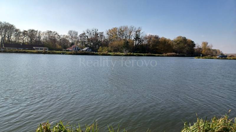 Podiel na lesnom pozemku Mostová - Šoriakoš - Rieka obtiekajúca Poľnohospodárske a lesné pozemky s vidieckou krajinou v Mostovej.