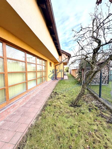 Veľkometrážny dom s wellness, bazénom a investičným potenciálom - Záhrada, chodník a rodinný dom na ulici SNP v Ivanke pri Dunaji.