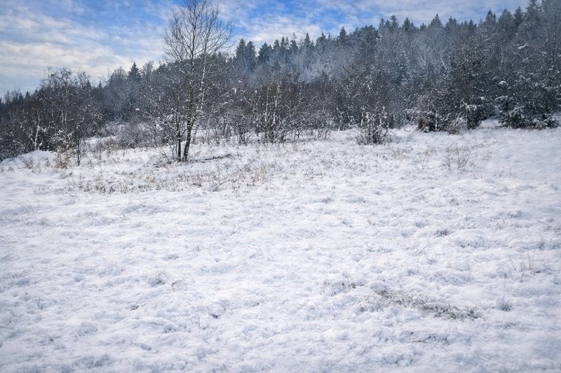 Predaj súboru dvoch pozemkov Oščadnica- Zádedová