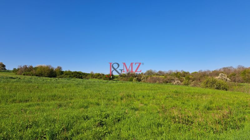 Pozemok 7.000 m2, šírka 55 m, Žemberovce, Cena DOHODOU (SM–867)
