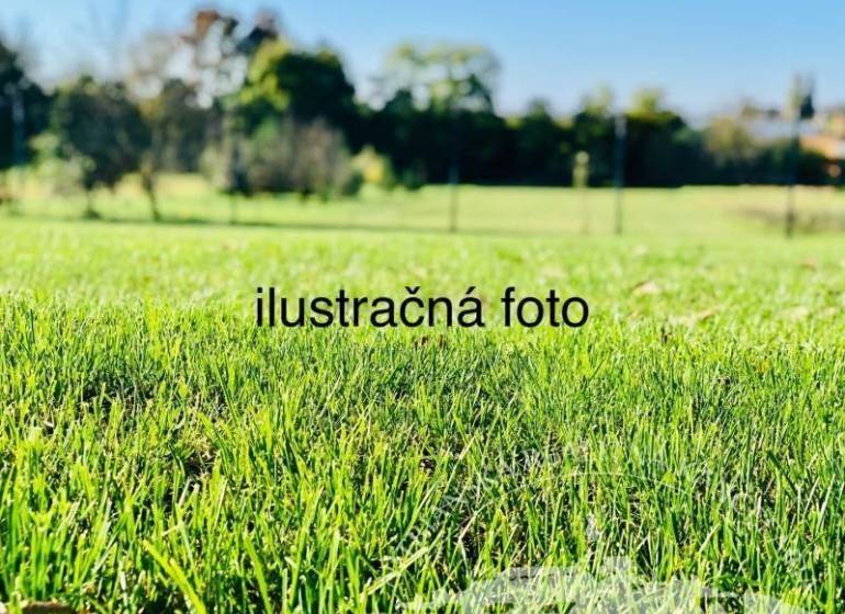 LUKRATÍVNY STAVEBNÝ POZEMOK V DUNAJSKEJ STREDE - Zeleň na pozemku v Dunajskej Strede, vhodná na bývanie.