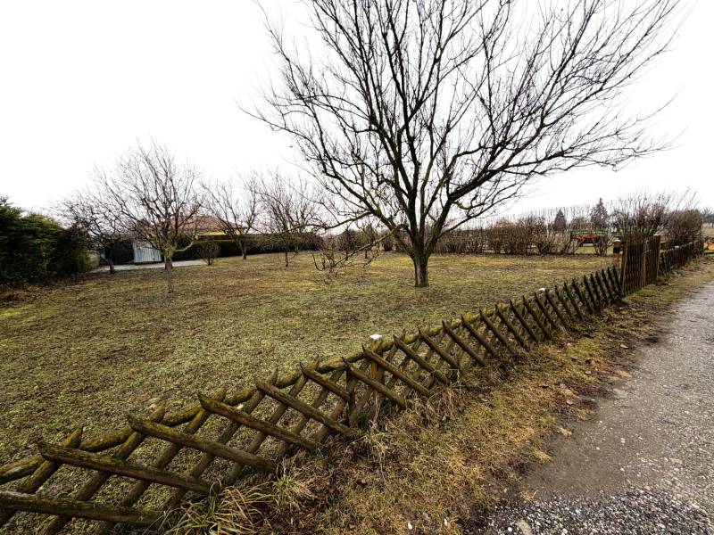 Stavebný pozemok v tichej lokalite , Kittsee - Pozemok v Kittsee s dreveným plotom a stromami pripravený na bývanie.